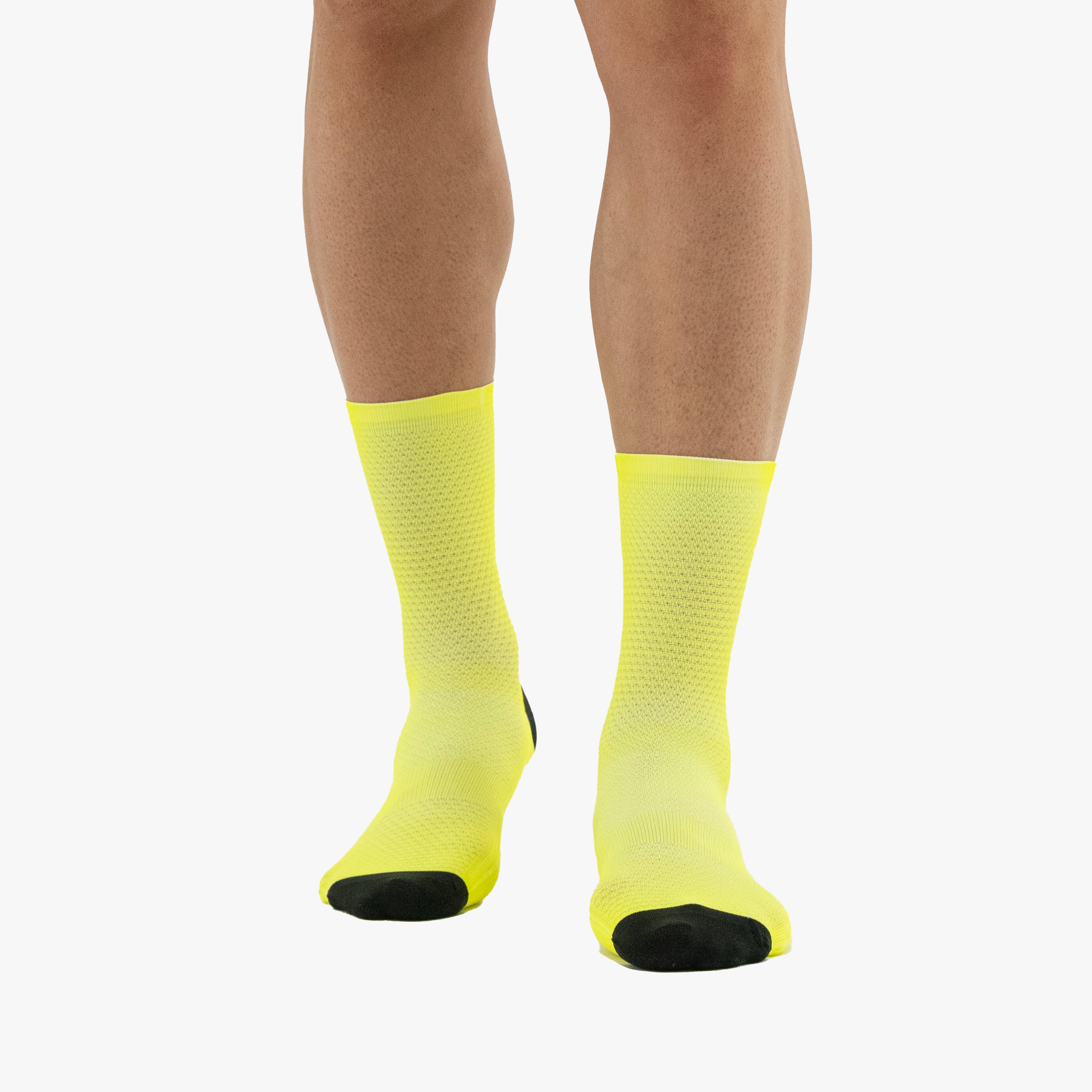 SCICON PERFORMANCE SOCKS 209