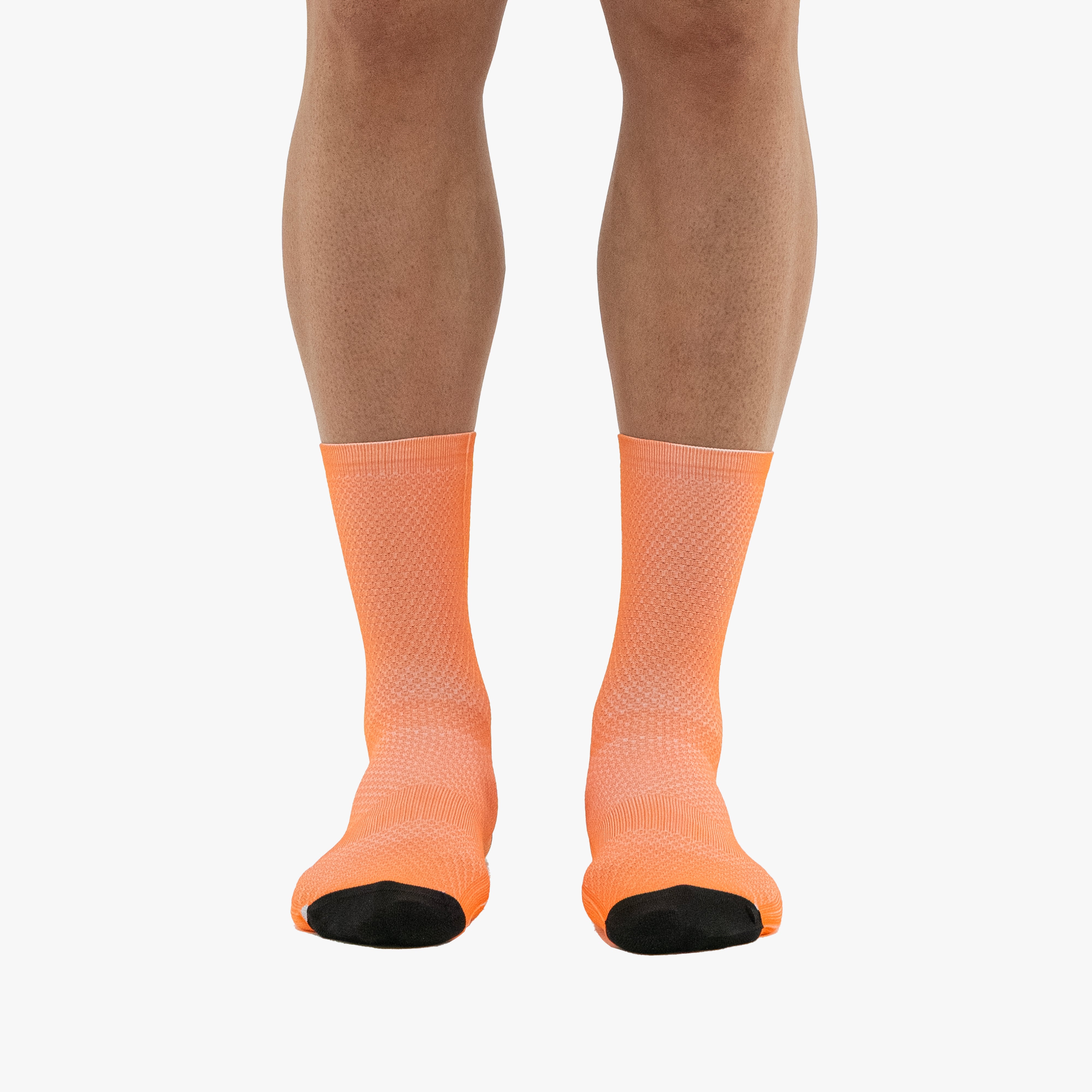 SCICON PERFORMANCE SOCKS 211